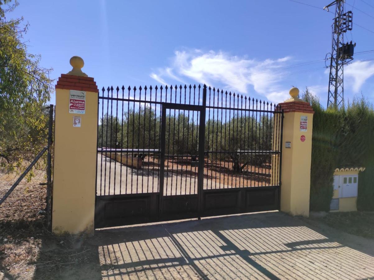 Los Abuelos Setenil De Las Bodegas Eksteriør billede
