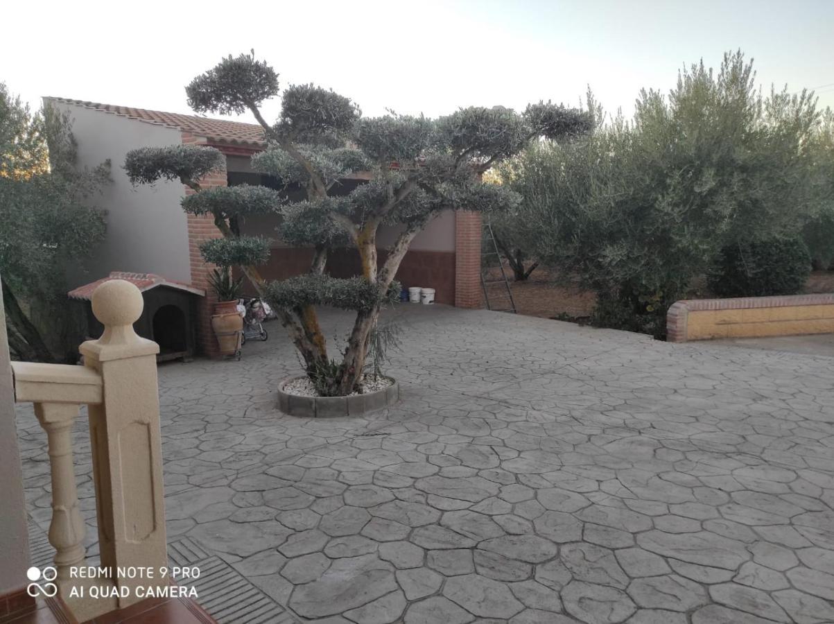 Los Abuelos Setenil De Las Bodegas Eksteriør billede