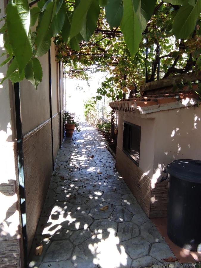 Los Abuelos Setenil De Las Bodegas Eksteriør billede