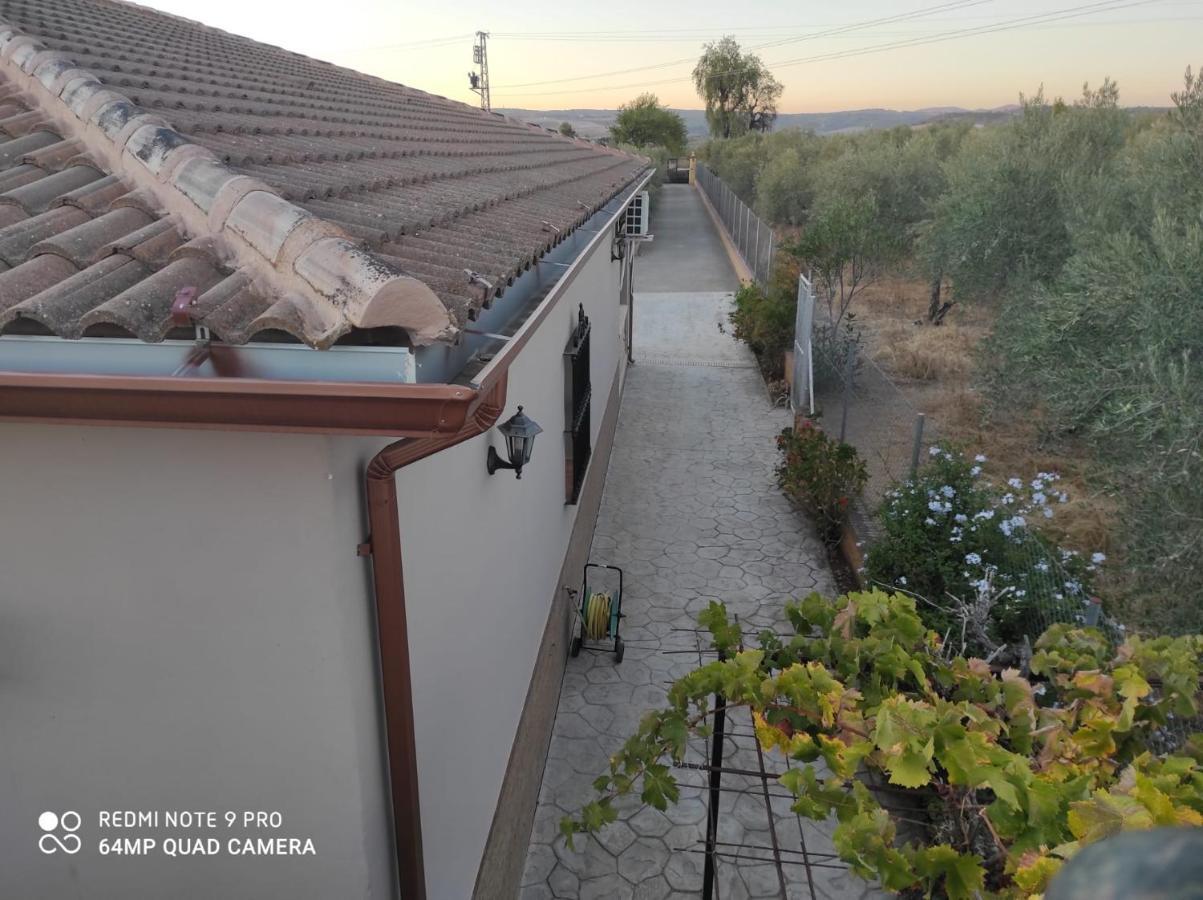 Los Abuelos Setenil De Las Bodegas Eksteriør billede