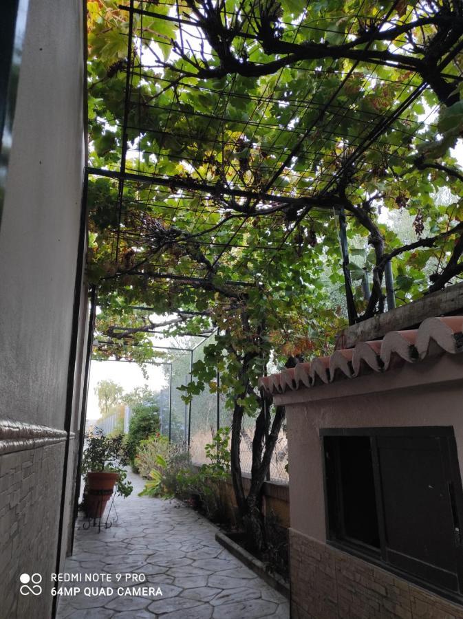 Los Abuelos Setenil De Las Bodegas Eksteriør billede