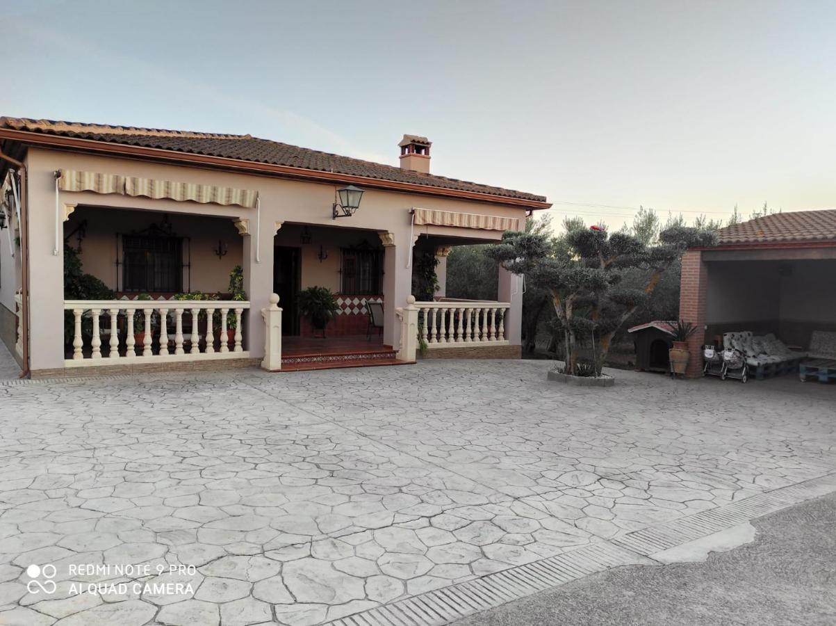 Los Abuelos Setenil De Las Bodegas Eksteriør billede